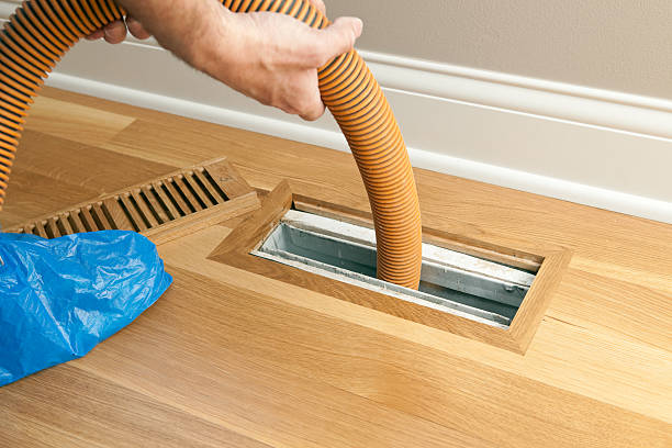 Best Air Duct Sanitizing Services  in San Ysidro, NM