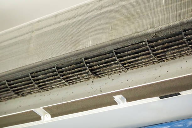 Best Residential Air Duct Cleaning  in San Ysidro, NM