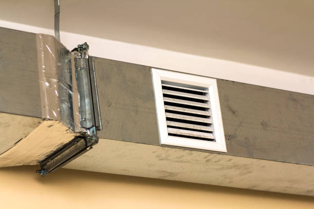 Best Professional Duct Cleaning Services  in San Ysidro, NM